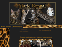 Tablet Screenshot of mariebengal.com